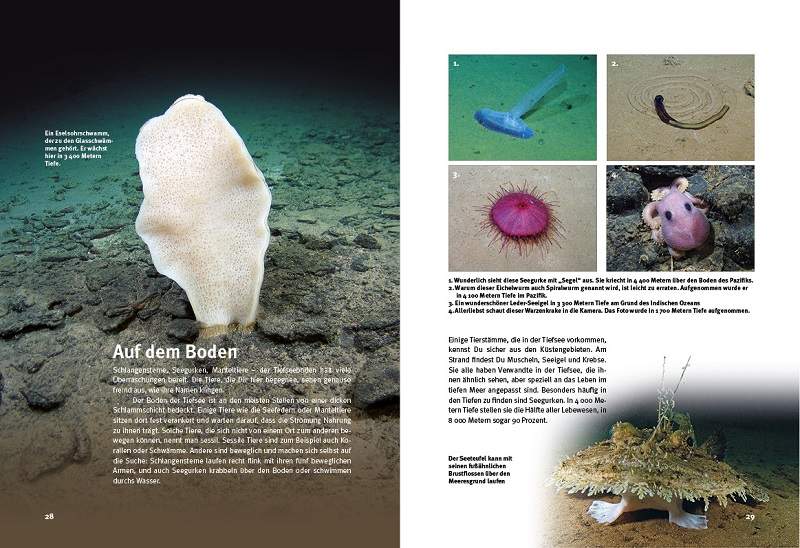 Preview: Entdecke die Tiefsee